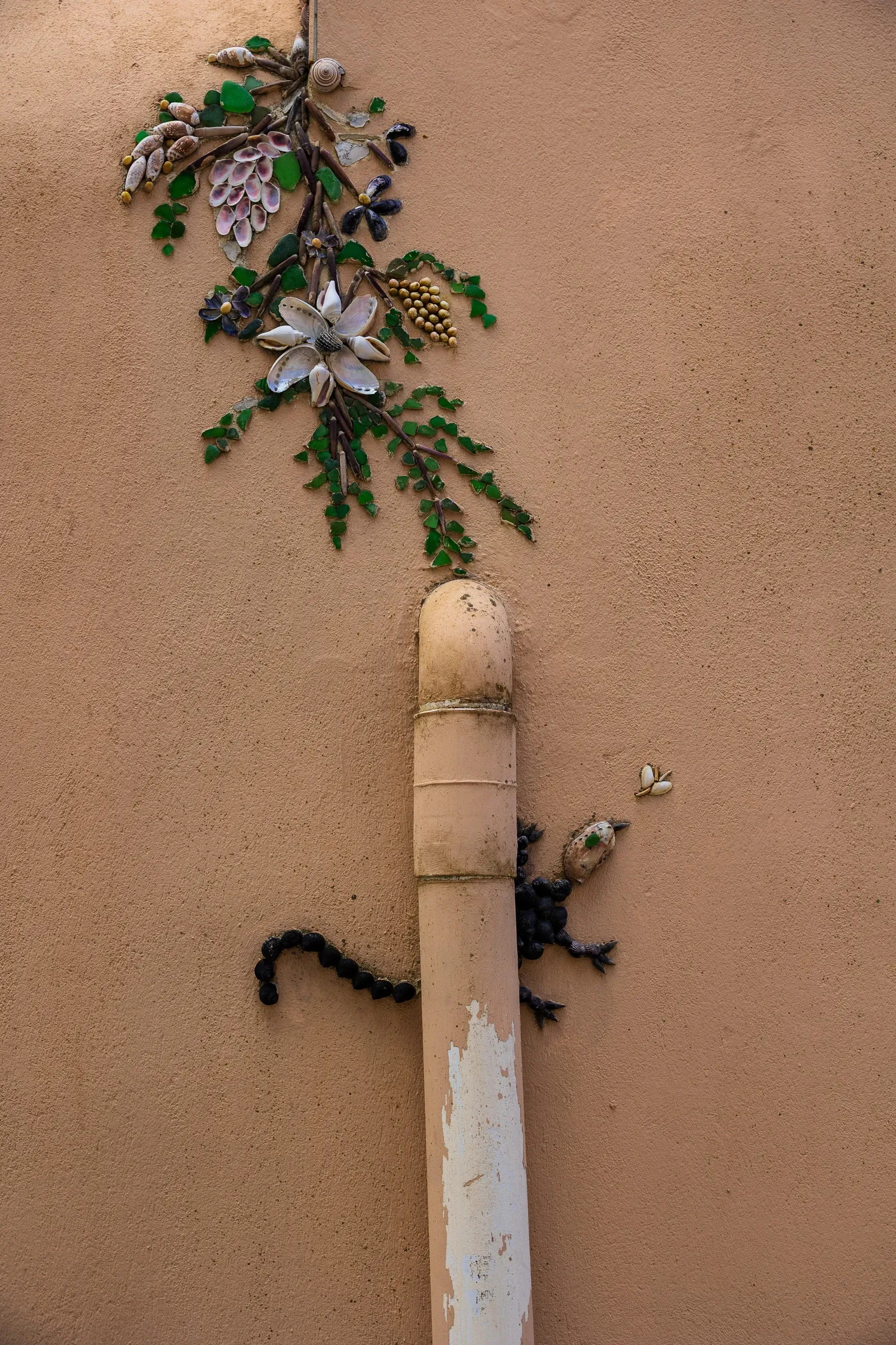 A drainpipe on a terracotta wall with a shell-art vine, small lizard, and butterfly climbing around it