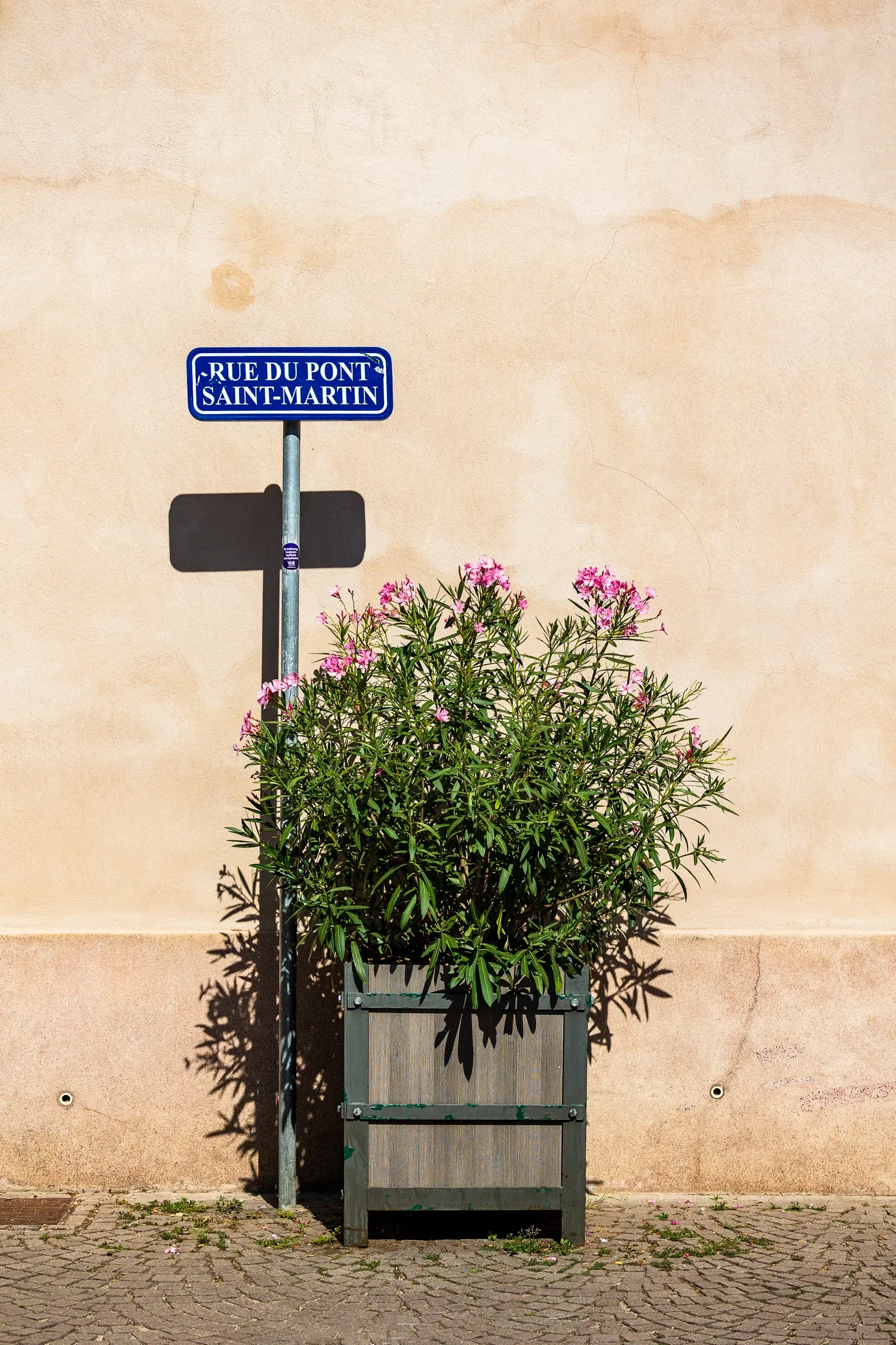 A street sign for Rue du Pont Saint-Martin next to a potted oleander in bloom.