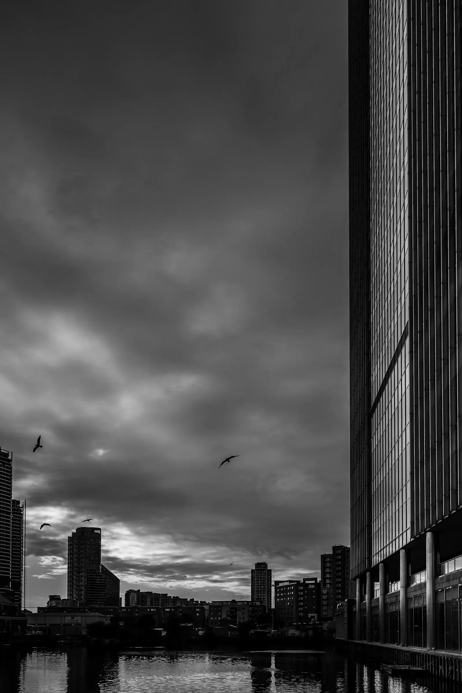 Dusk skyline with birds in flight over the Thames, a curved residential tower and lower buildings along the water, black and white