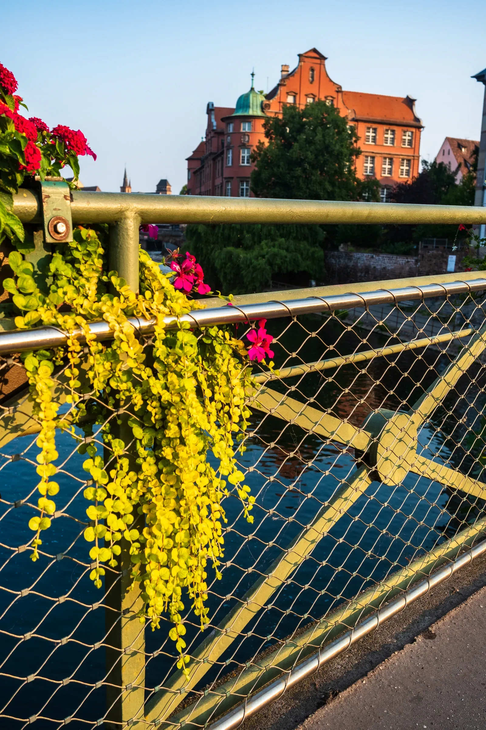 A red-brick building seen past a bridge railing draped with yellow flowering vine.