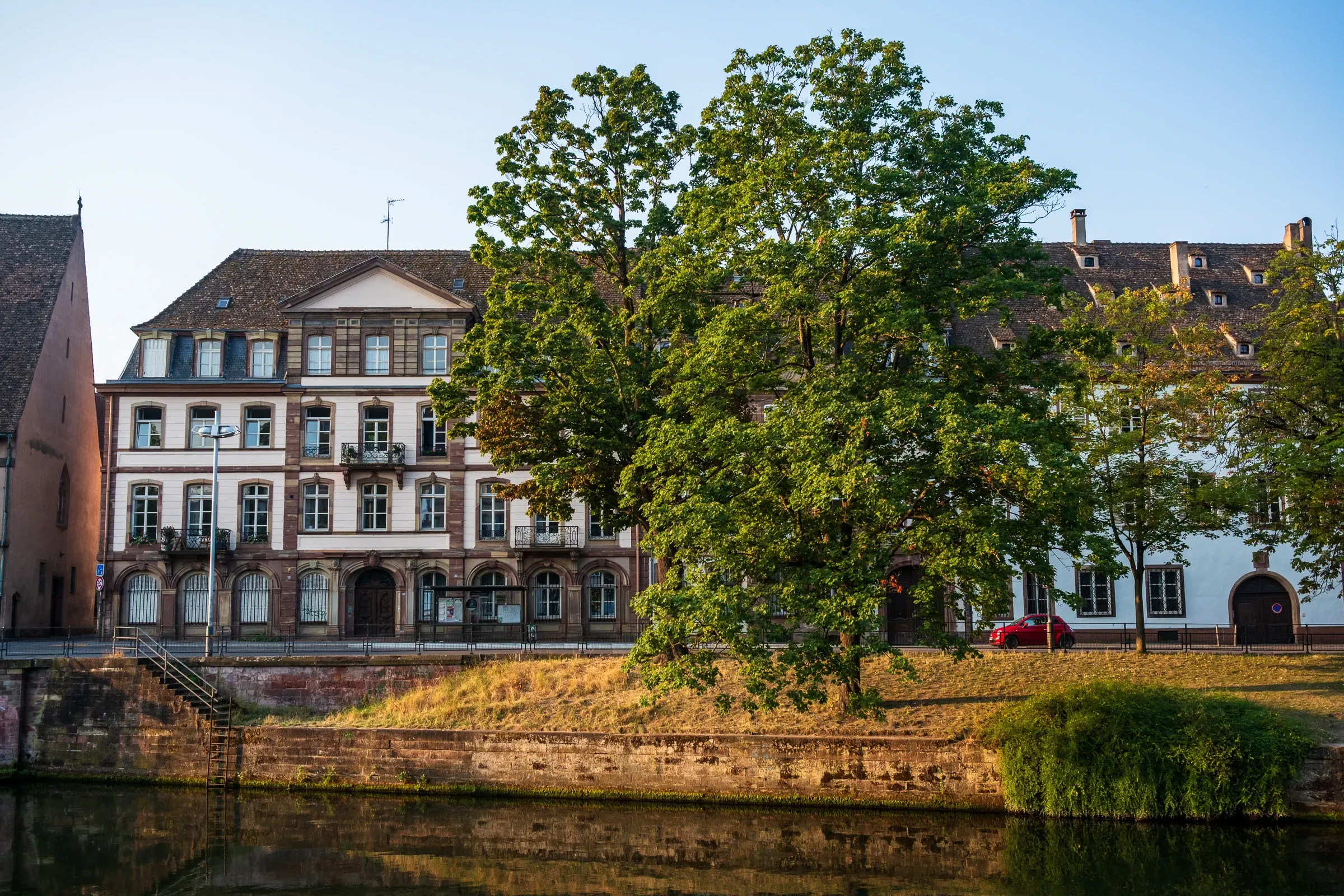Riverside townhouses framed by a large chestnut tree in evening light.