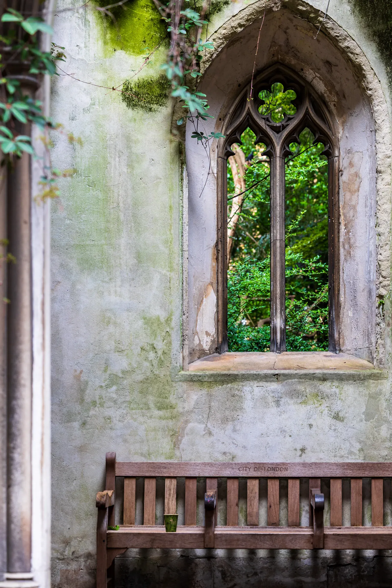 An ivy-covered Gothic window opening onto greenery, a City of London bench below