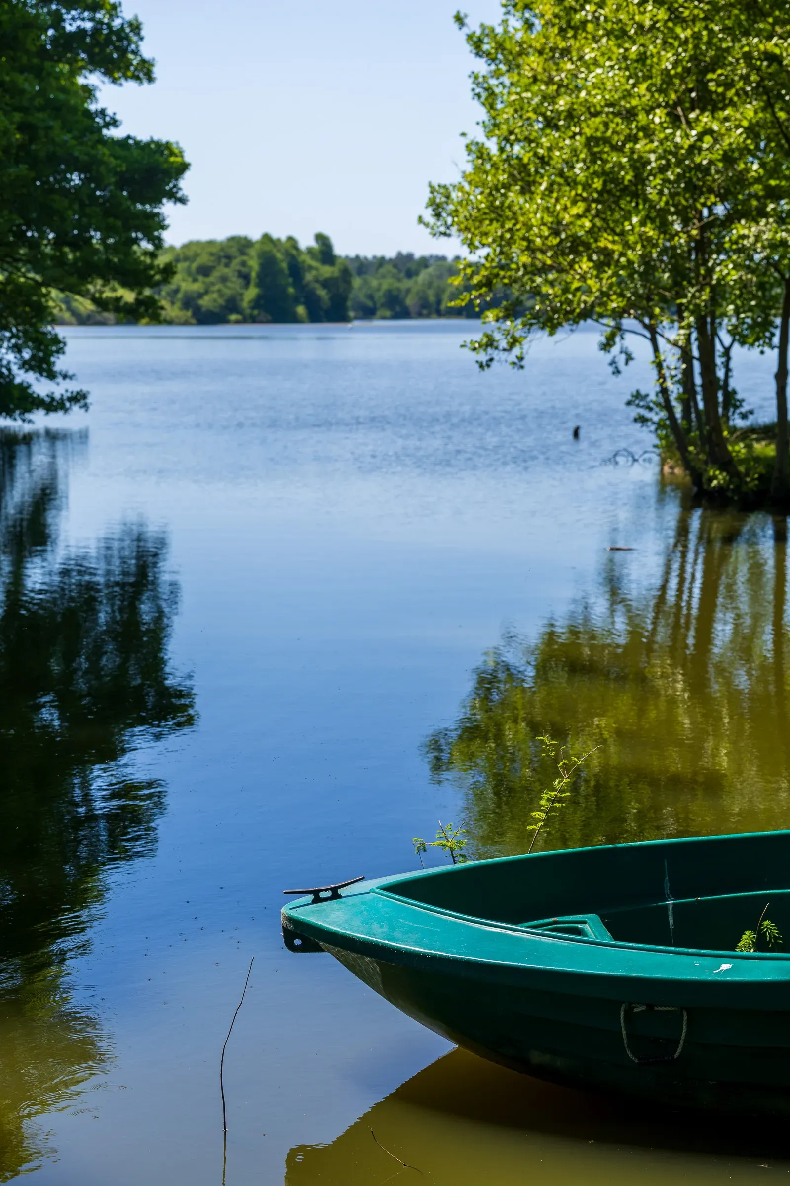 Green rowboat moored at a lake edge, trees mirrored in still water