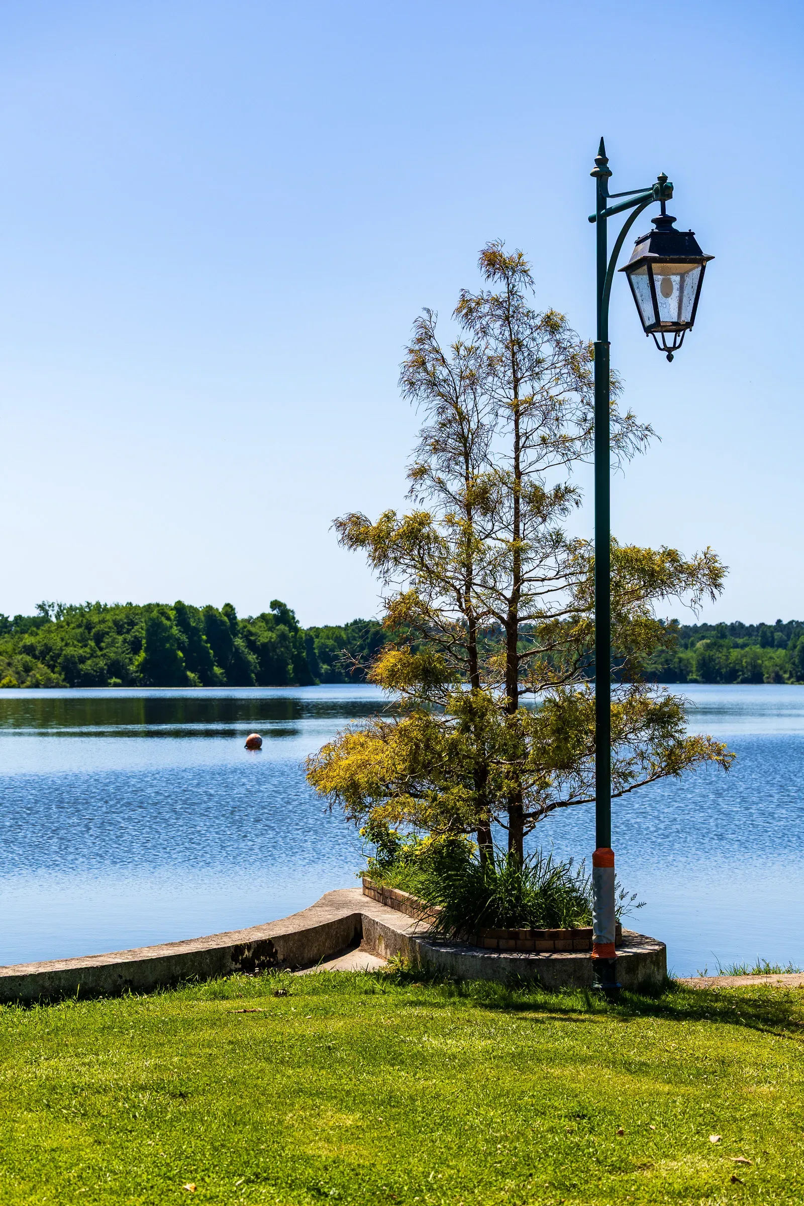 Iron street lamp and a small conifer on a lake promenade under a clear blue sky, wooded shore in the distance