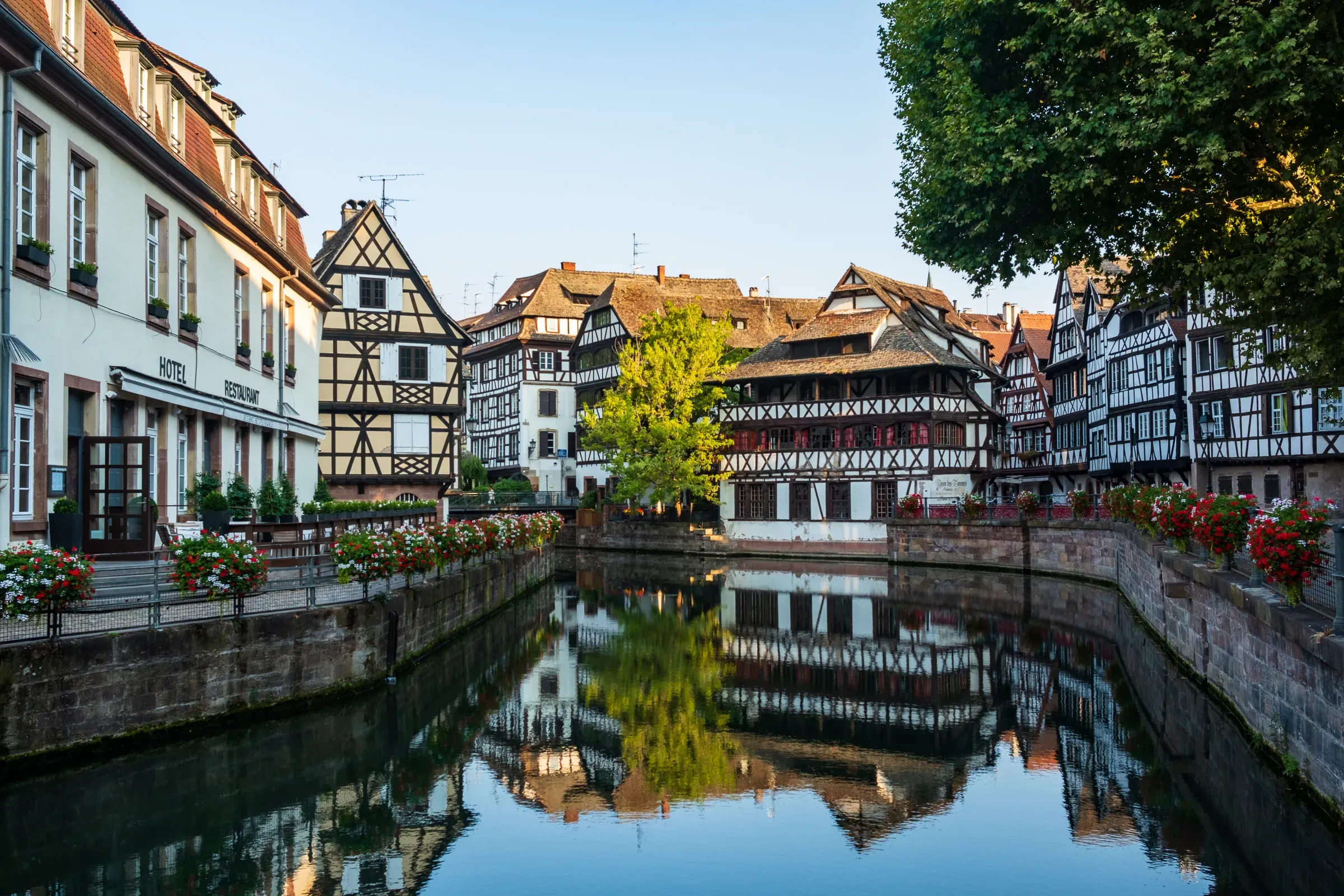 Half-timbered houses in Petite France, Strasbourg, reflected in the canal at golden hour.